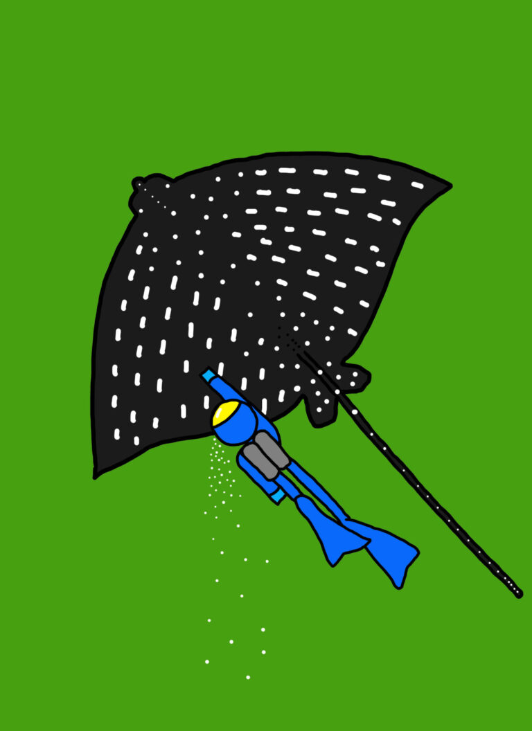 Manta by Jorge Blanco