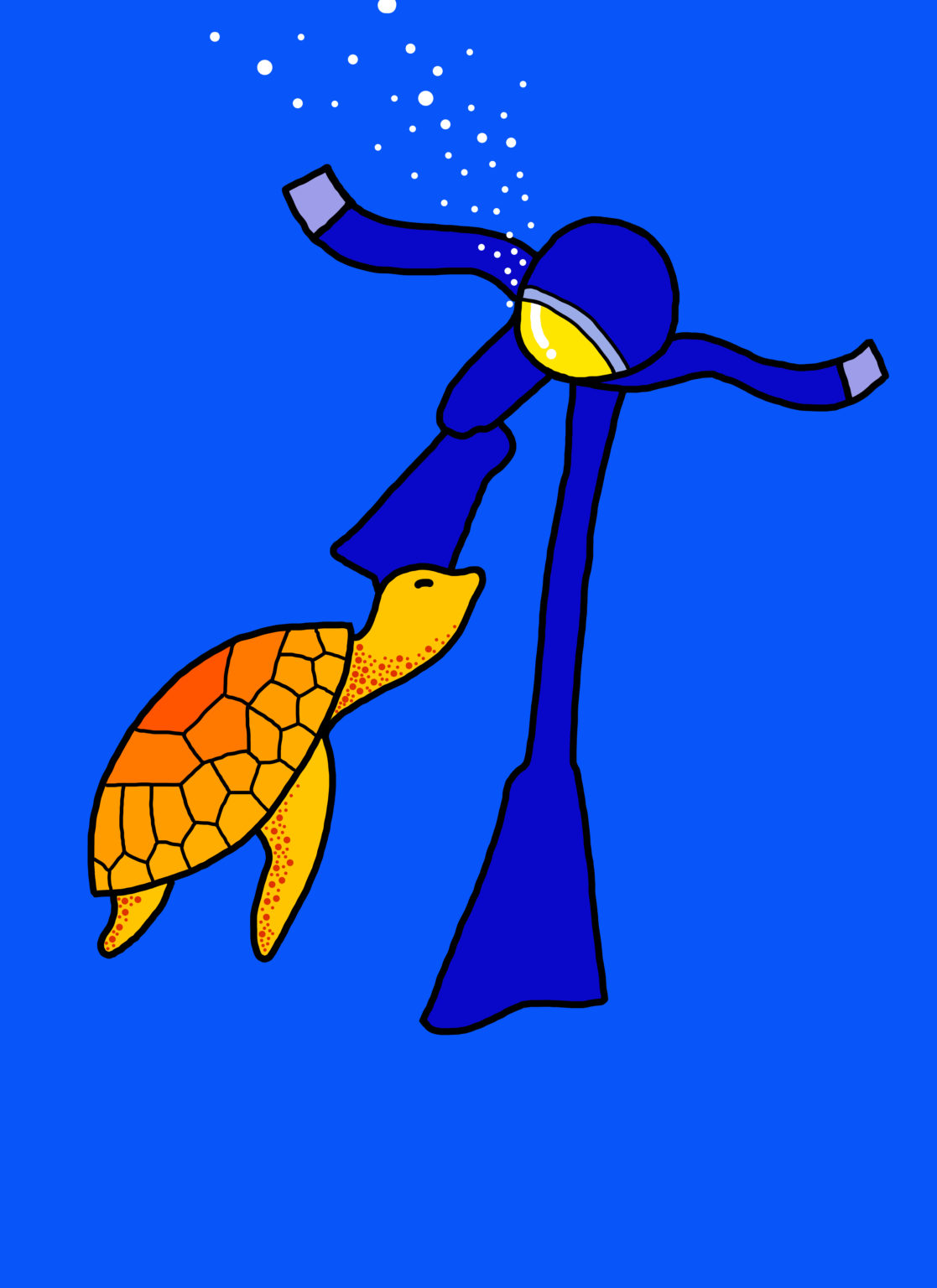 Turtle by Jorge Blanco